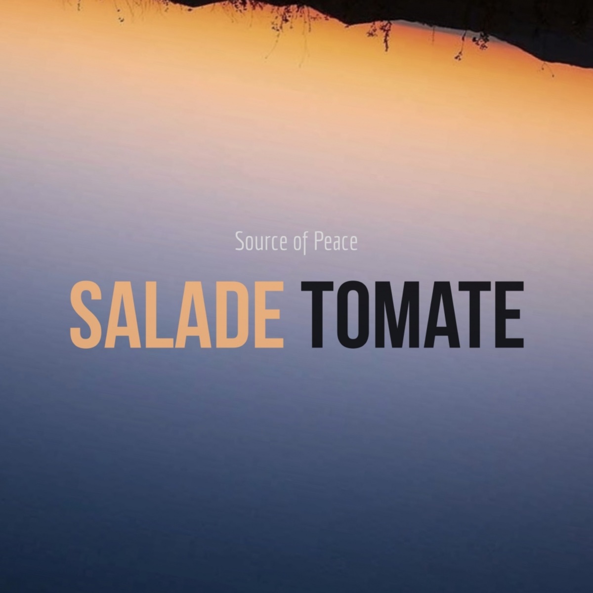Salade Tomate - Source of Peace / MCT Luxury