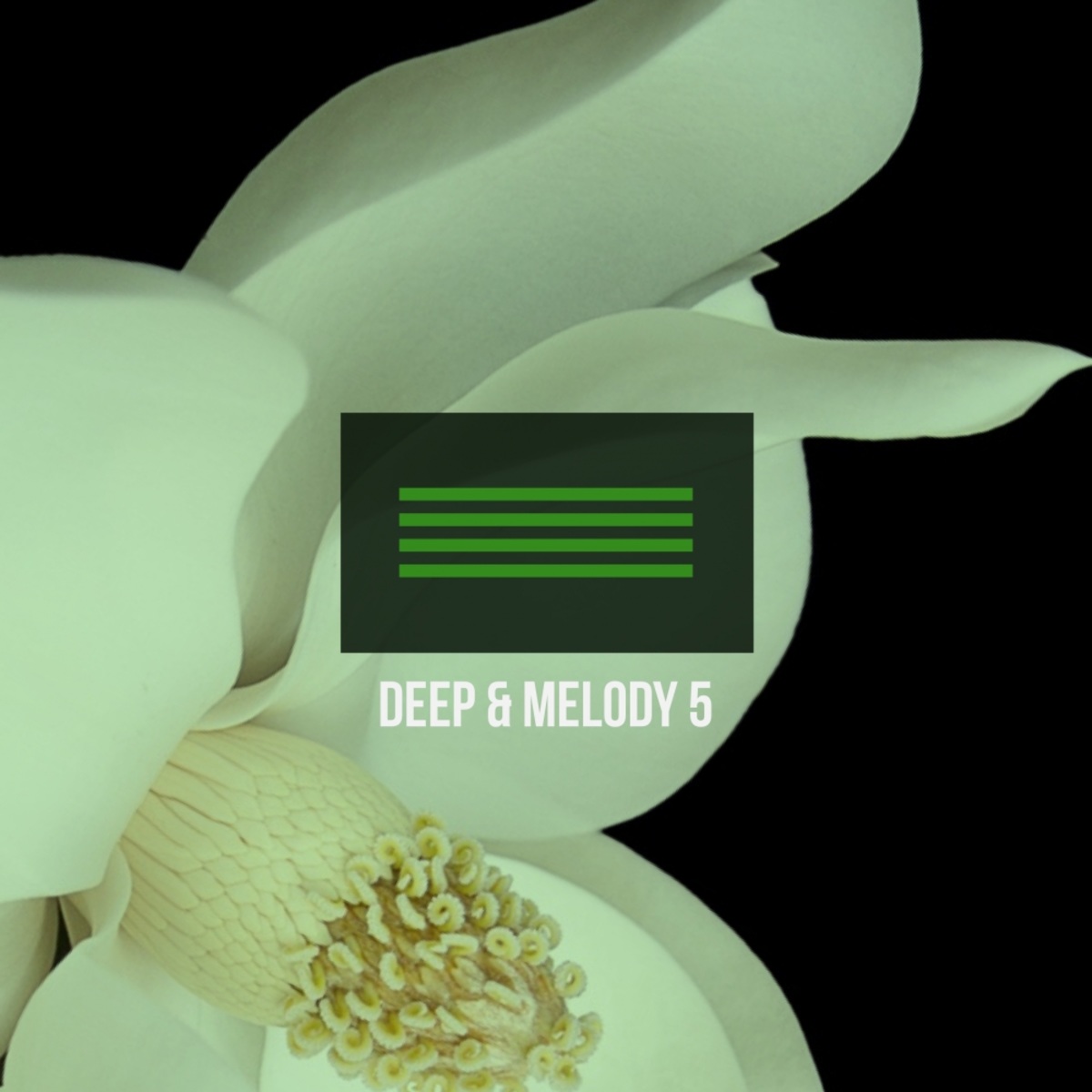 VA - Deep & Melody 5 / Mycrazything Records