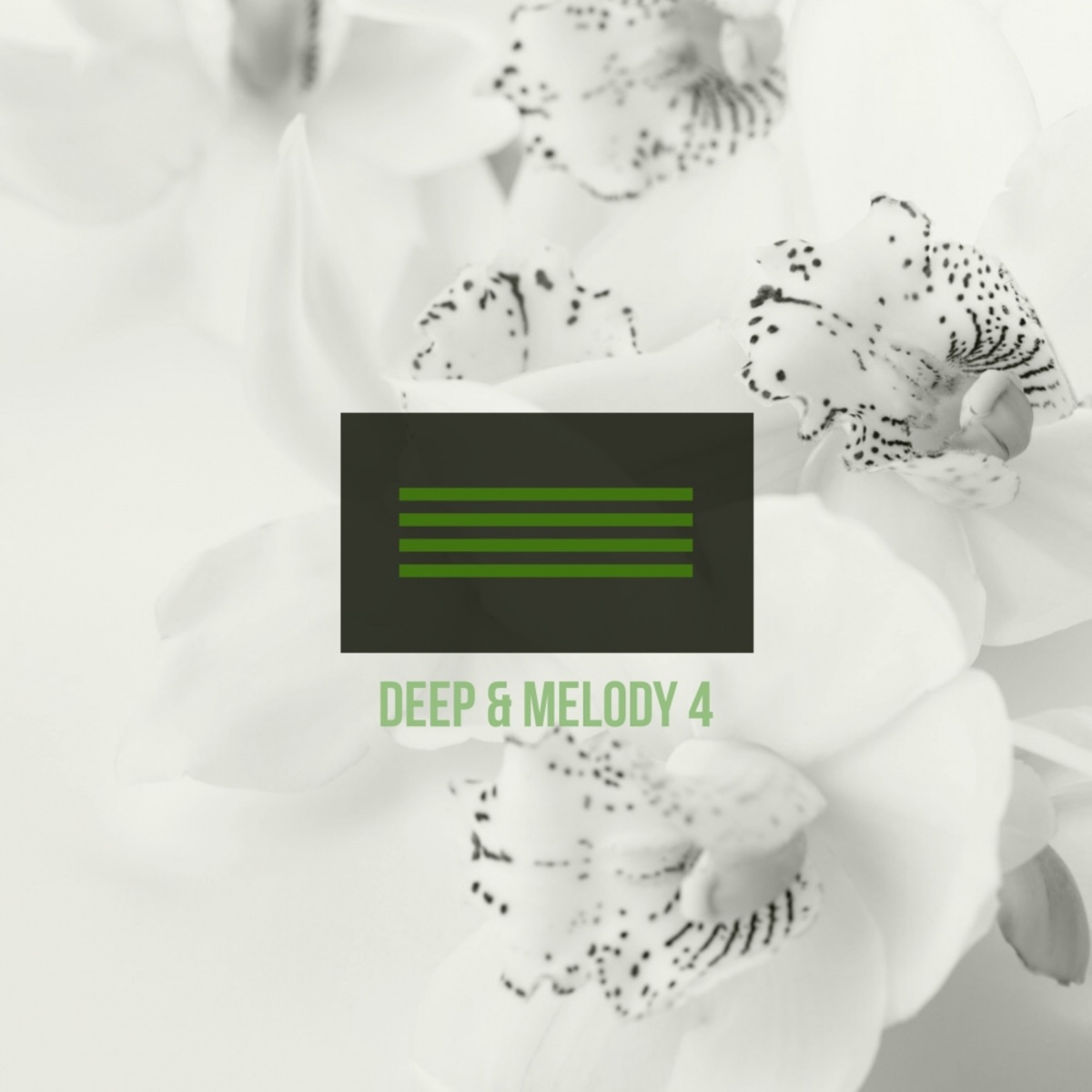 VA - Deep & Melody 4 / Mycrazything Records