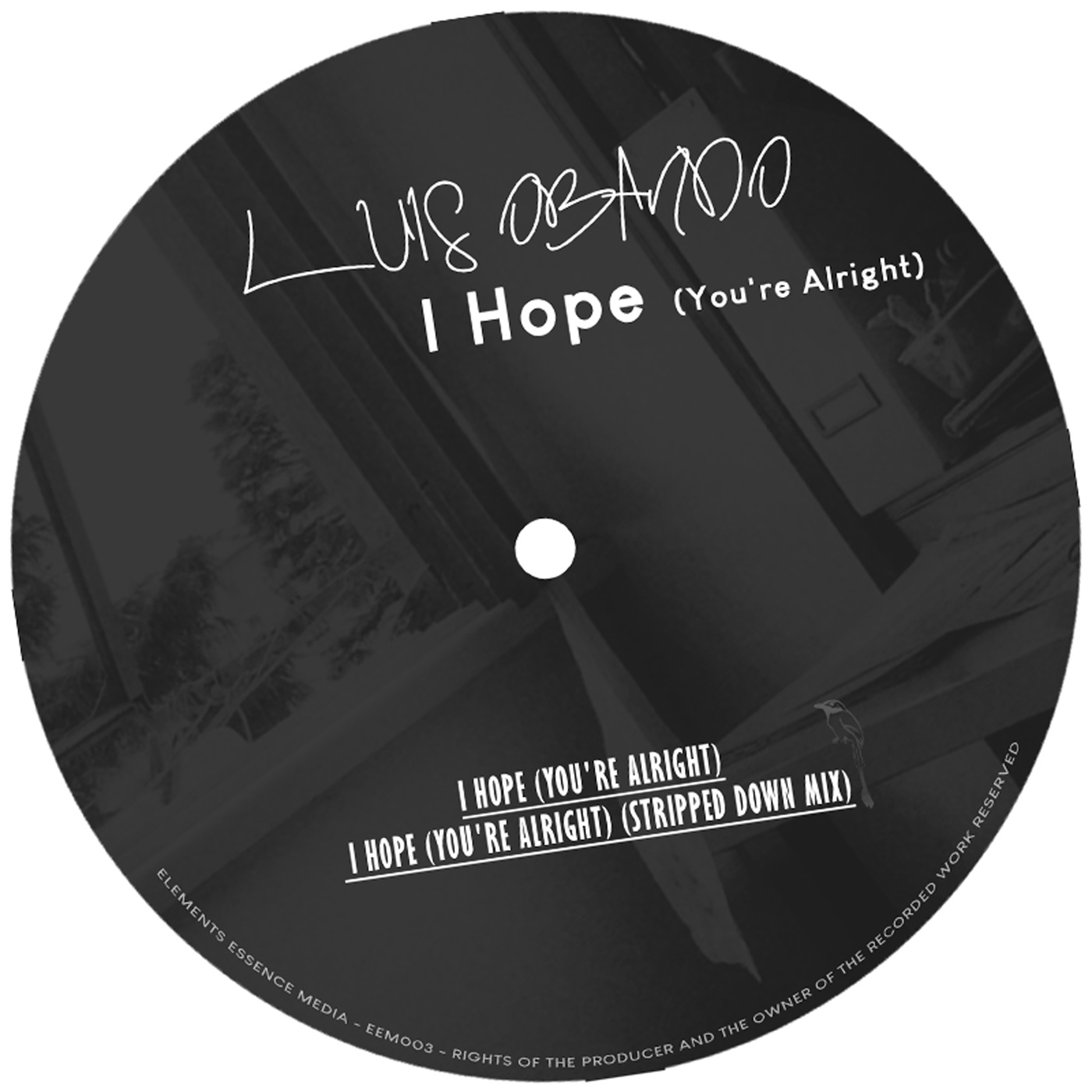 Luis Obando - I Hope (You're Alright) / Wave Essence Media