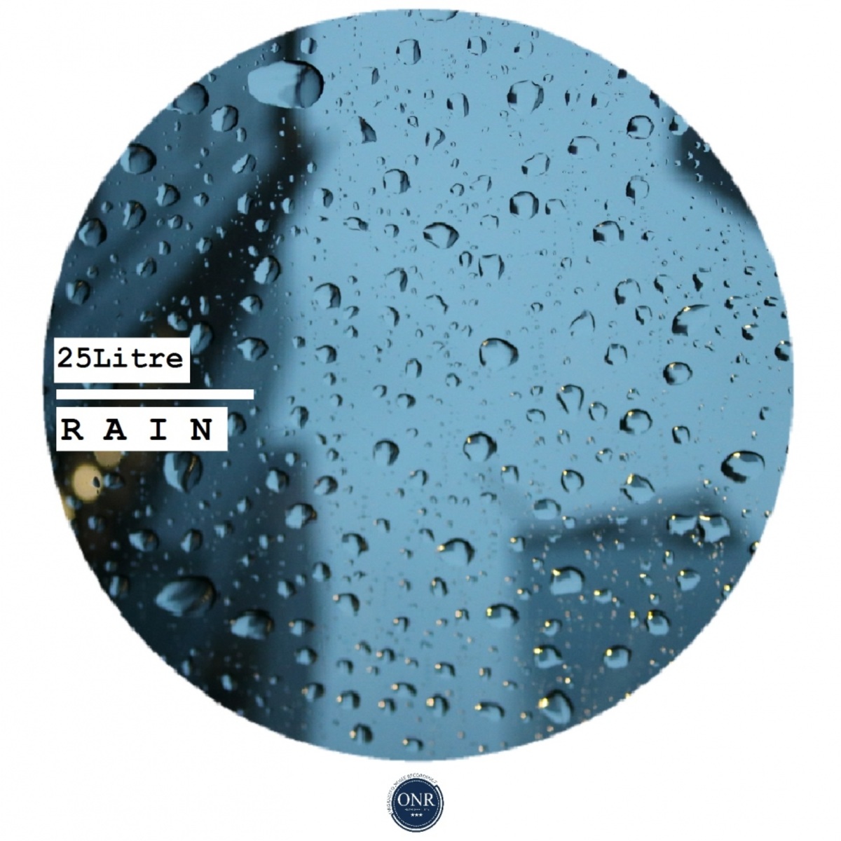 25Litre - Rain / Organized Noize Recordingz