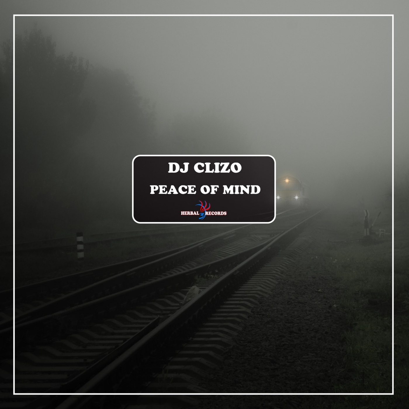 Dj Clizo - Peace of Mind / Herbal 3 Records