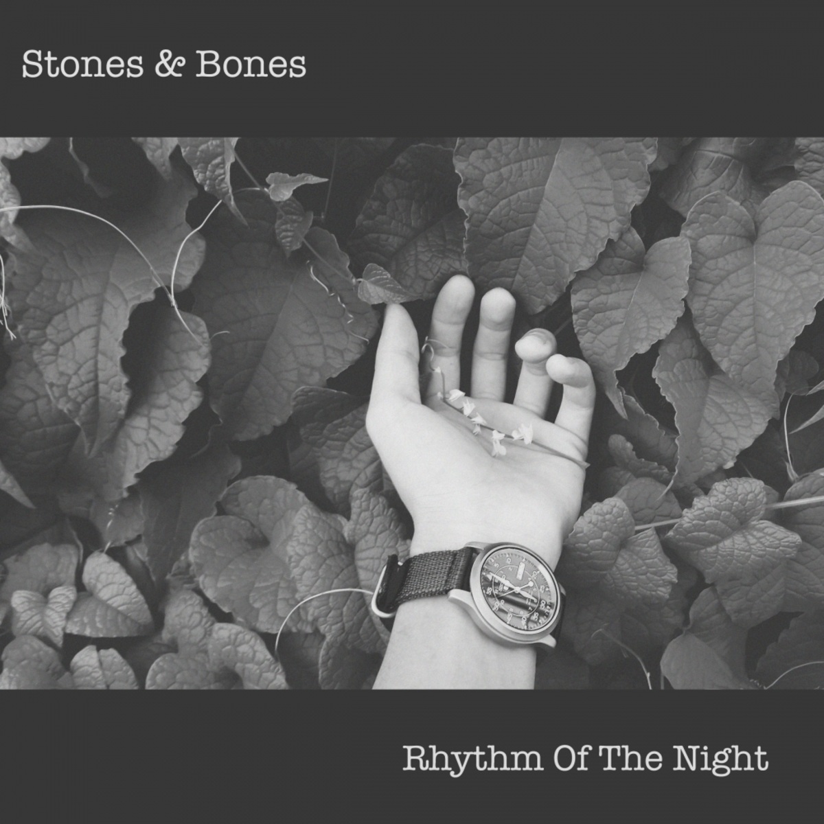 Stones & Bones - Rhythm of The Night / FOMP