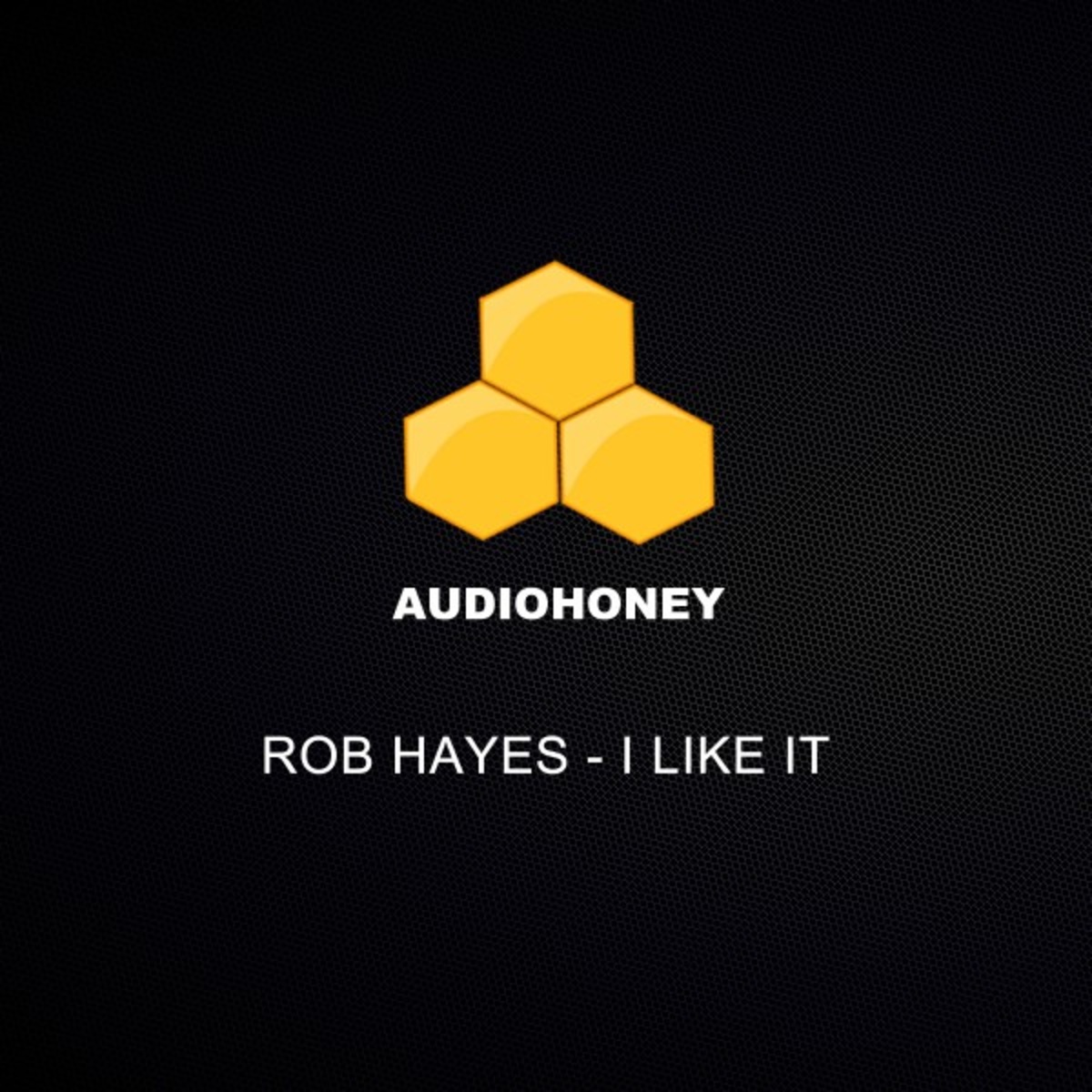 Rob Hayes - I Like It / Audio Honey