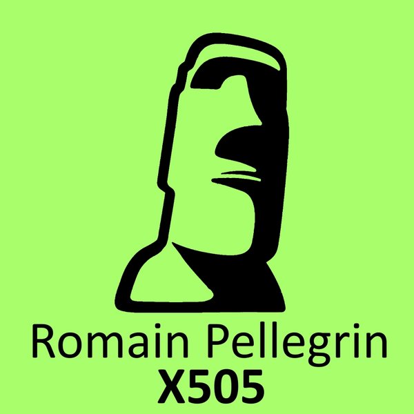 Romain Pellegrin - X505 / Blockhead Recordings