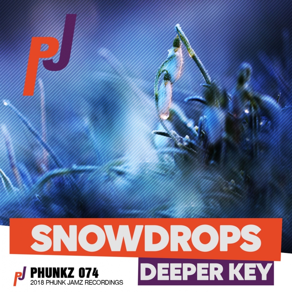 Deeper Key - Snowdrops / Phunk Jamz Recordings