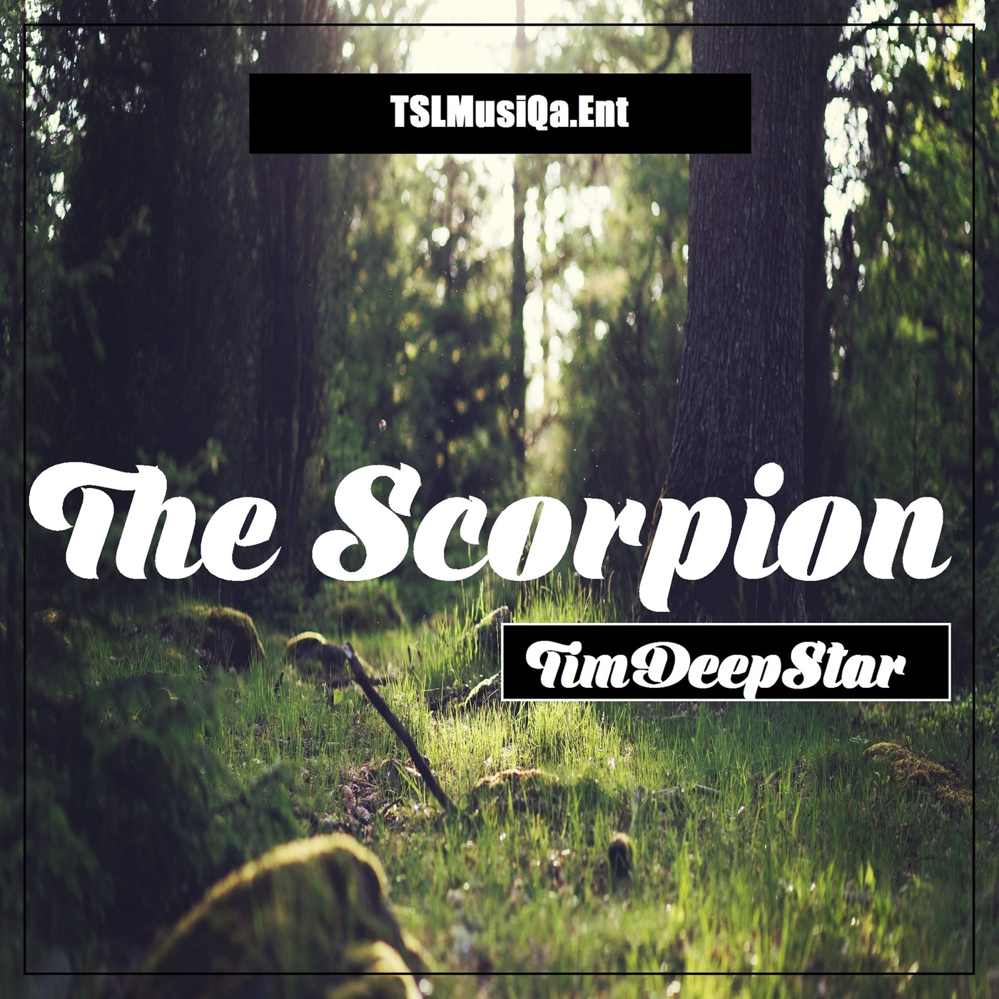 TimDeepStar - The Scorpion / TSLMusiQa.Ent