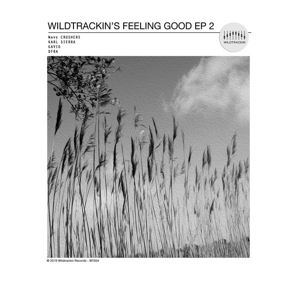 VA - Wildtrackin's Feeling Good 2 / Wildtrackin