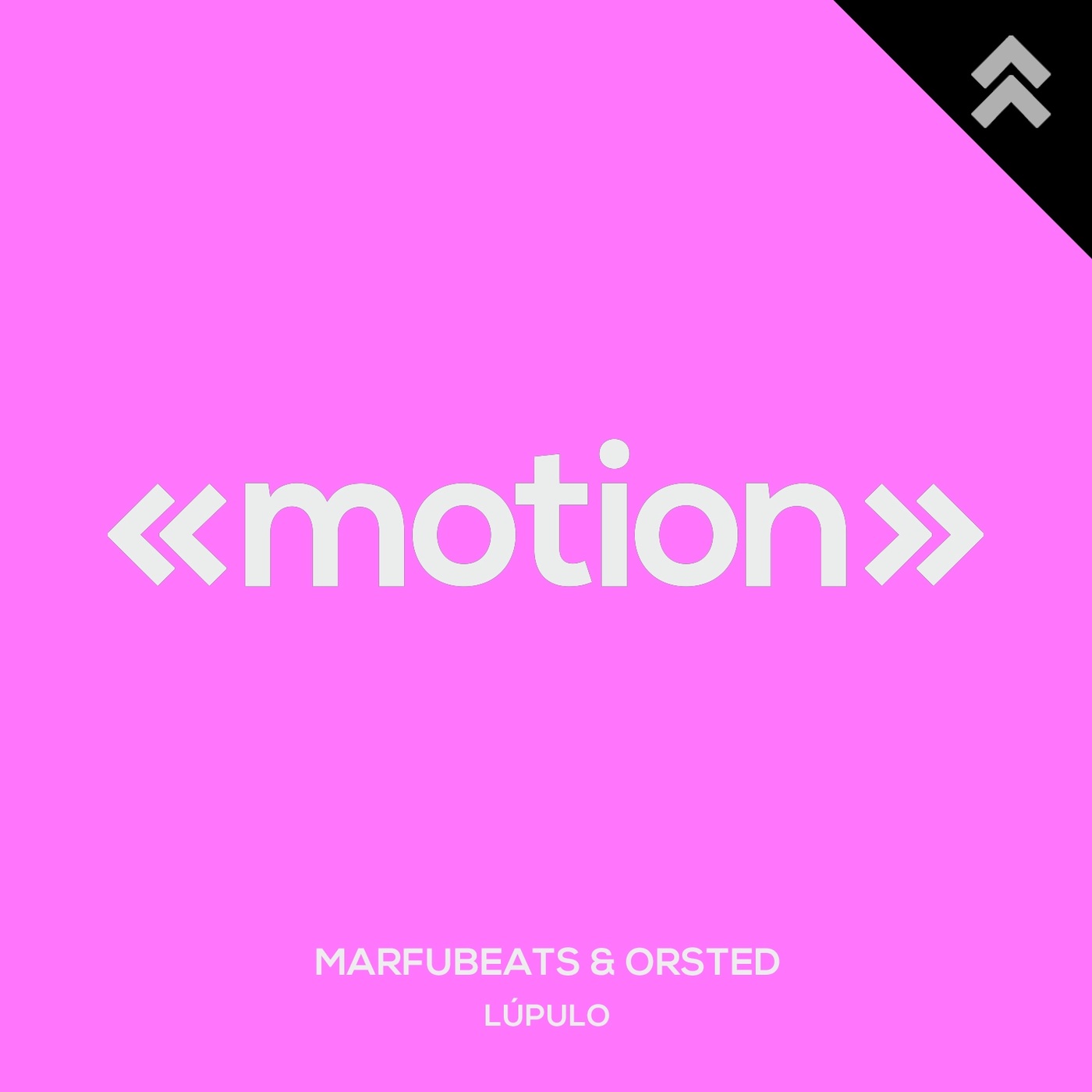 Marfubeats - Lúpulo / motion