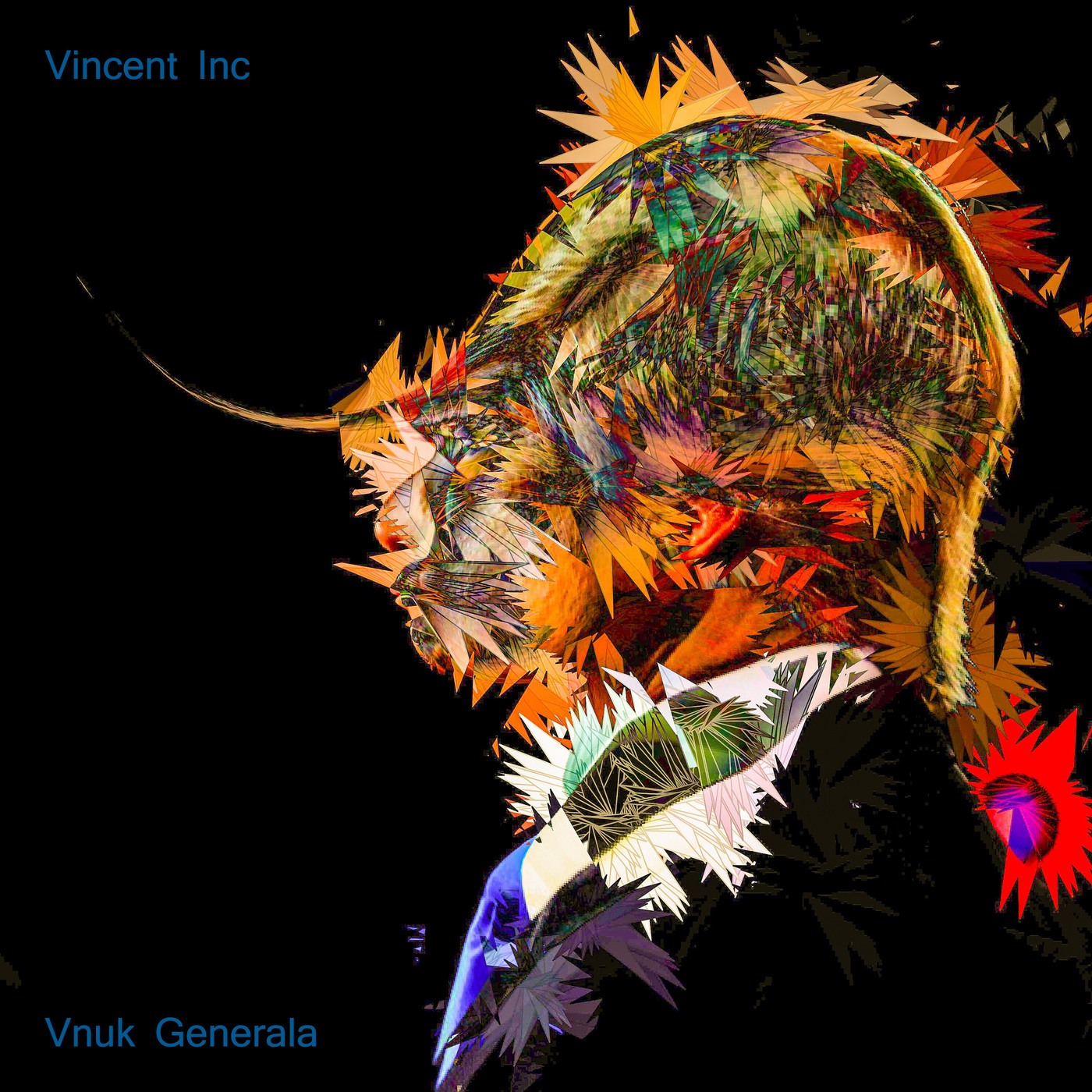 Vincent Inc - Vnuk Generala / Ghetto Rhythms Records