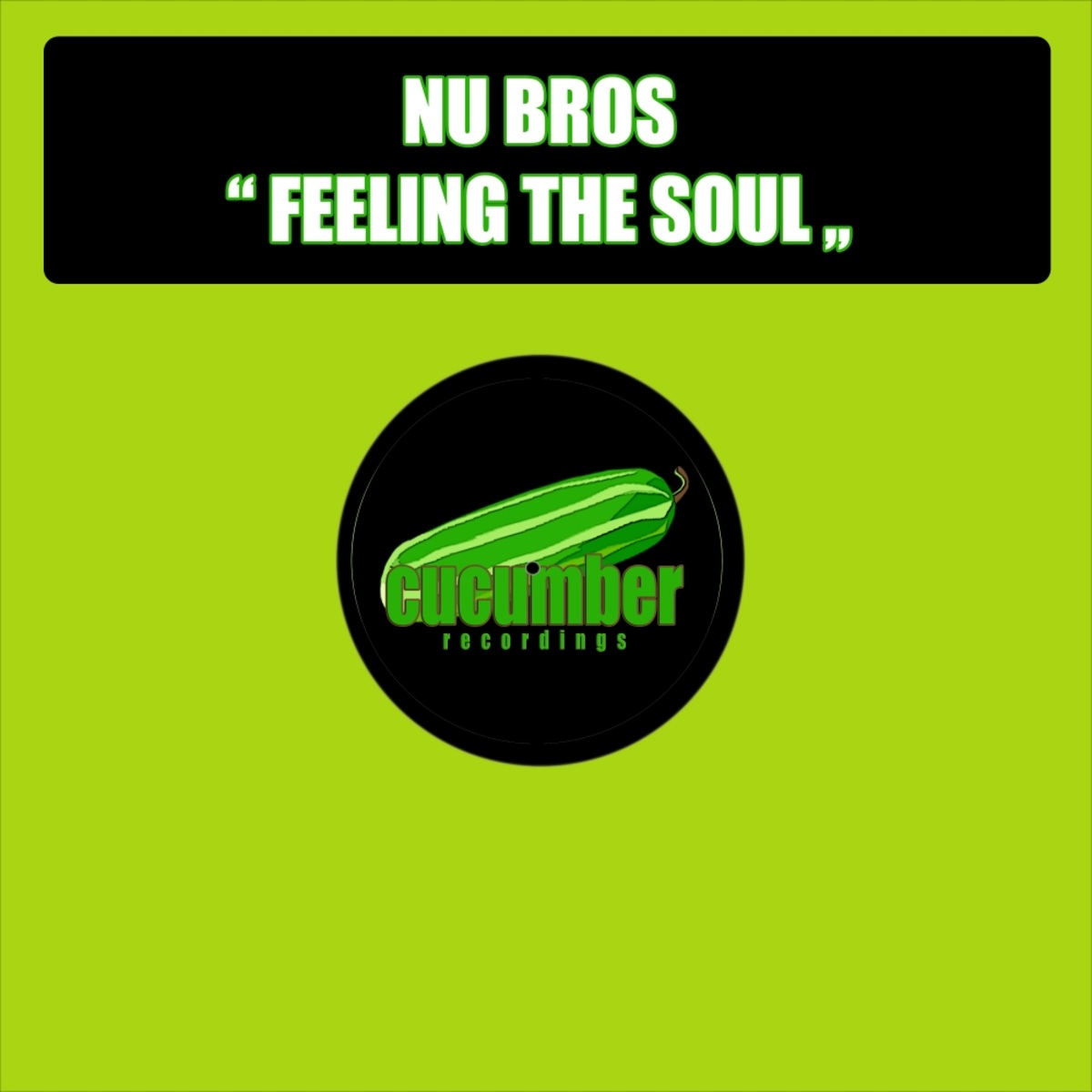 Nu Bros - Feeling The Soul / Cucumber Recordings