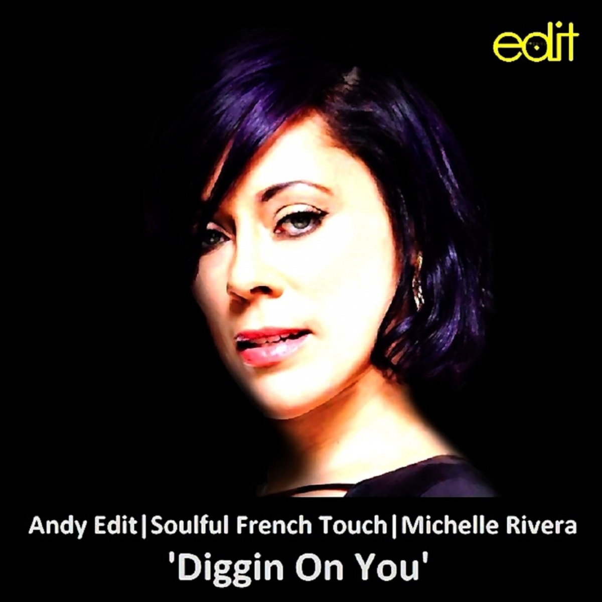 Andy Edit, Soulful French Touch, Michelle Rivera - Diggin On You / Edit Records