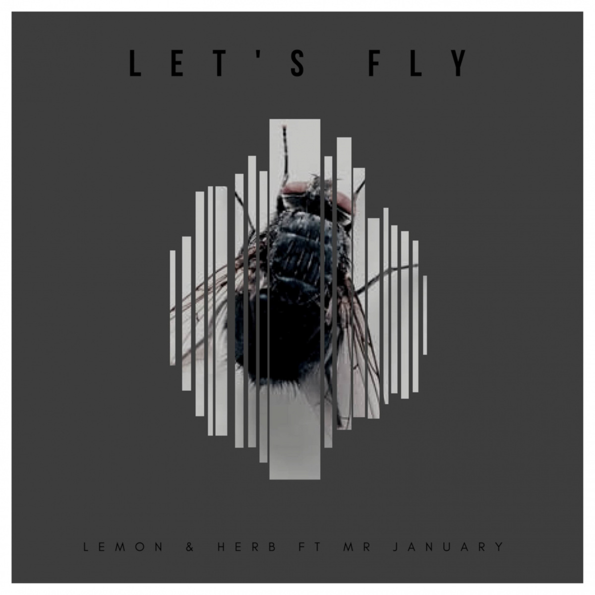 Lemon & Herb ft Mr January - Let's Fly / Mixed In Motion Recordings