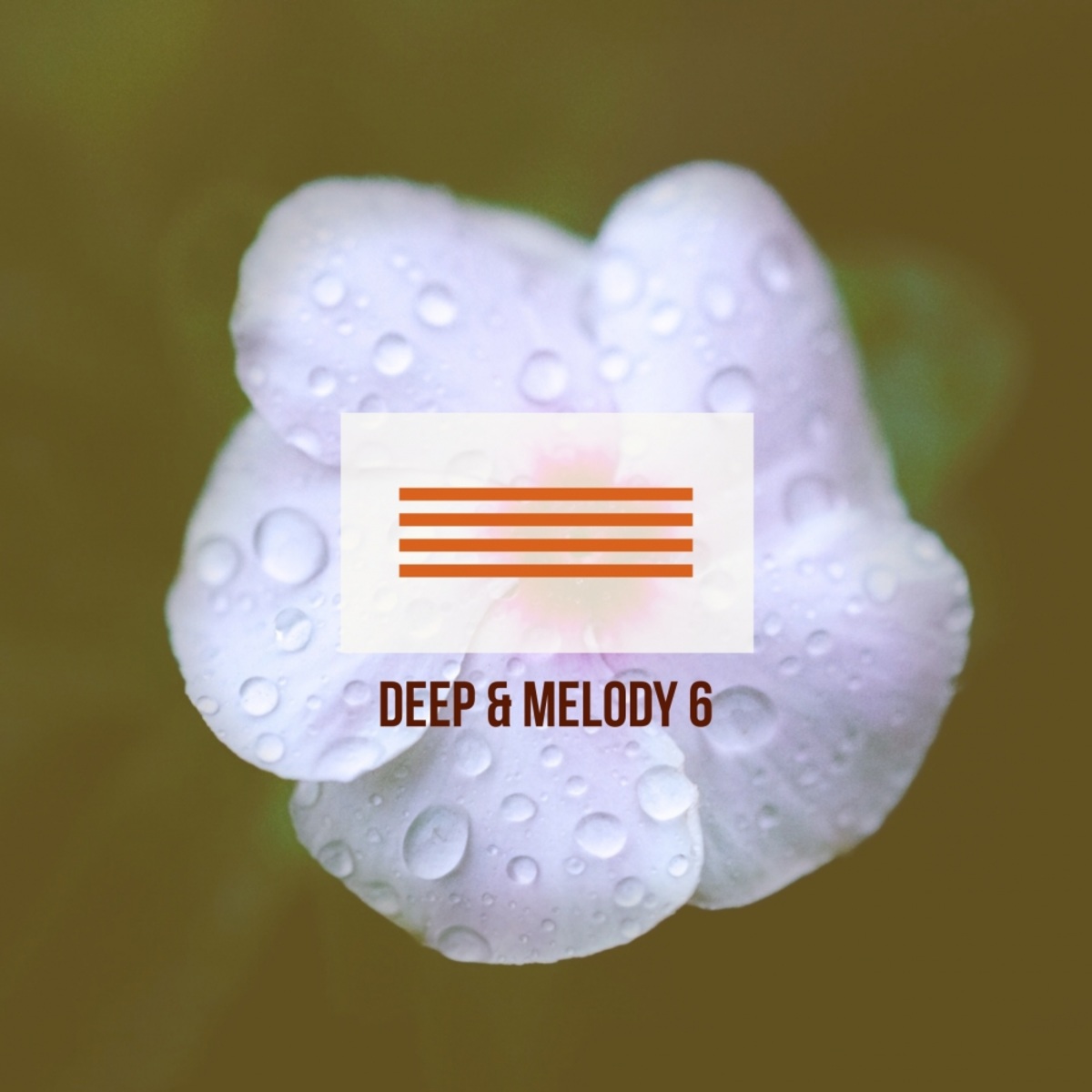 VA - Deep & Melody 6 / Mycrazything Records