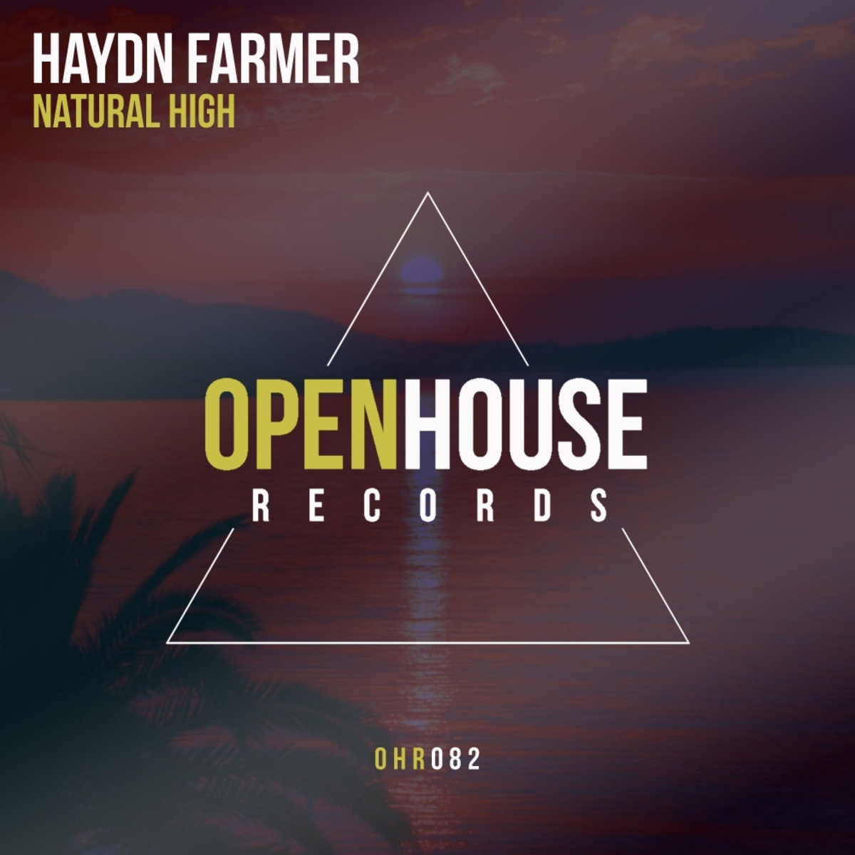 Haydn Farmer - Natural High / Open House Records