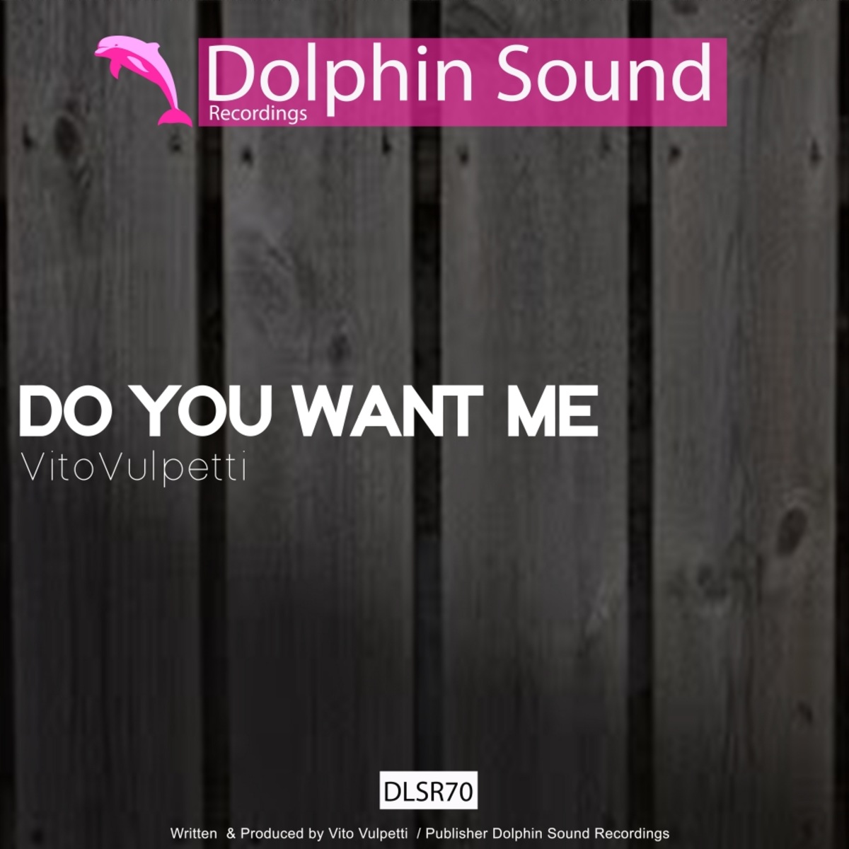 Vito Vulpetti - Do You Want Me / Dolphin Sound Recordings