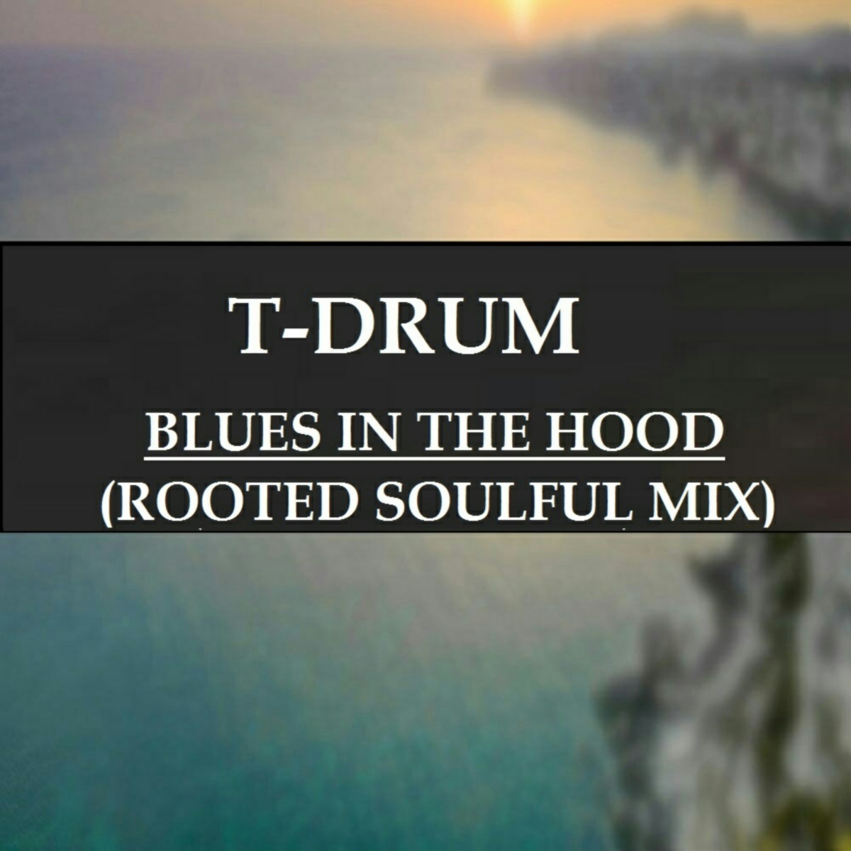 T-Drum - Blues In The Hood (Rooted Soulful Mix) / Gentle Soul Records