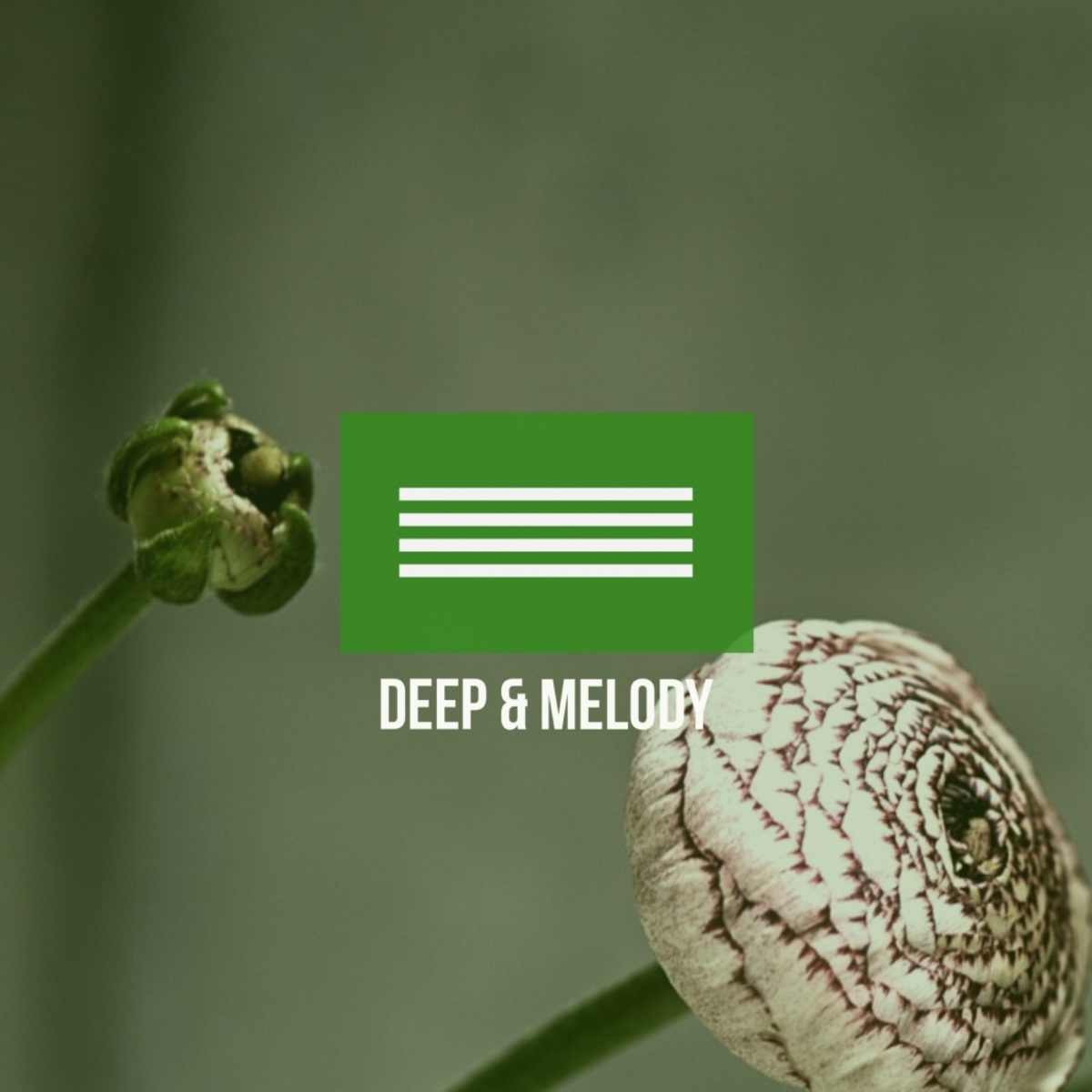 VA - Deep & Melody 2 / Mycrazything Records