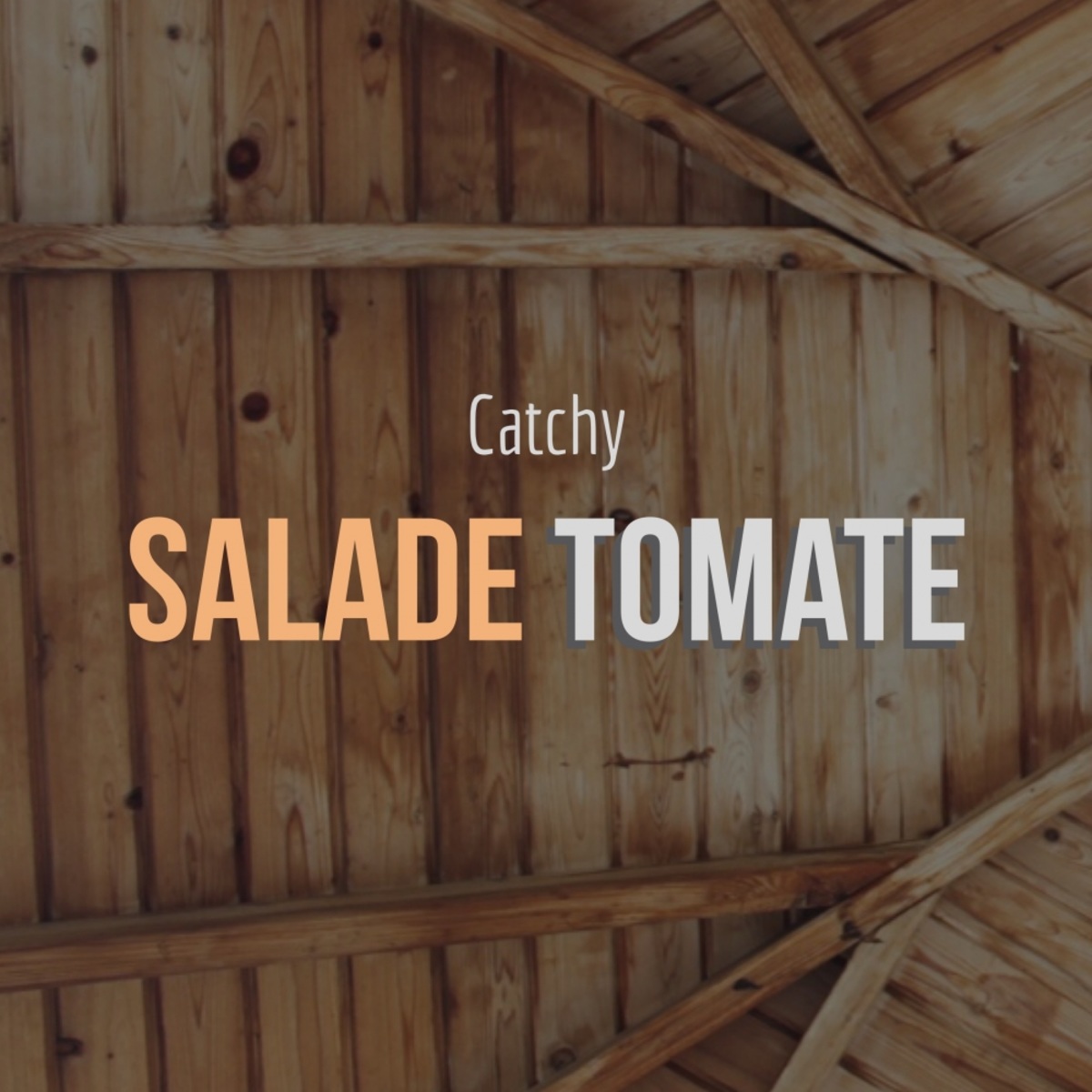 Salade Tomate - Catchy (Daweird Mix) / MCT Luxury