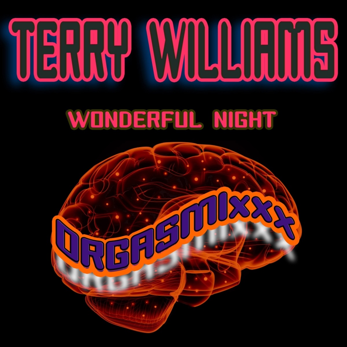Terry Williams - Wonderful Night / ORGASMIxxx