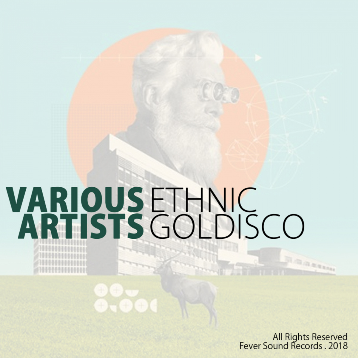 VA - Ethnic Goldisco / Fever Sound Records