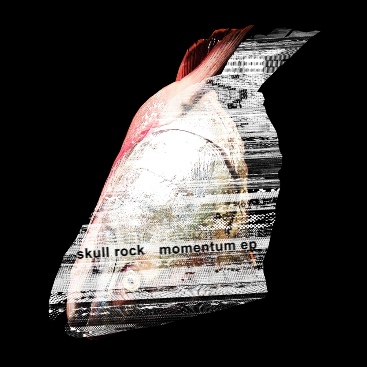 Skull Rock - Momentum Ep / Nein Records
