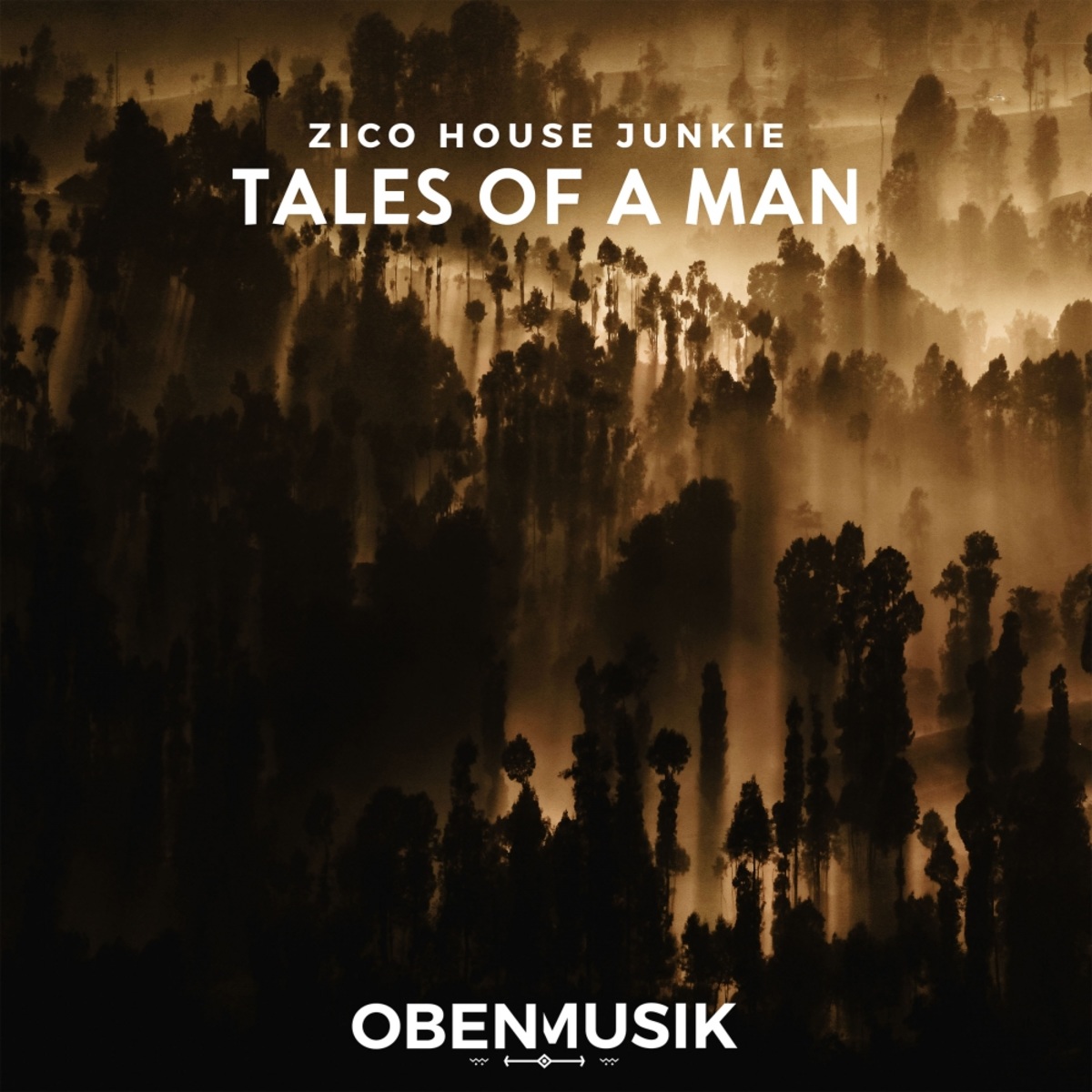 Zico House Junkie - Tales Of A Man / Obenmusik