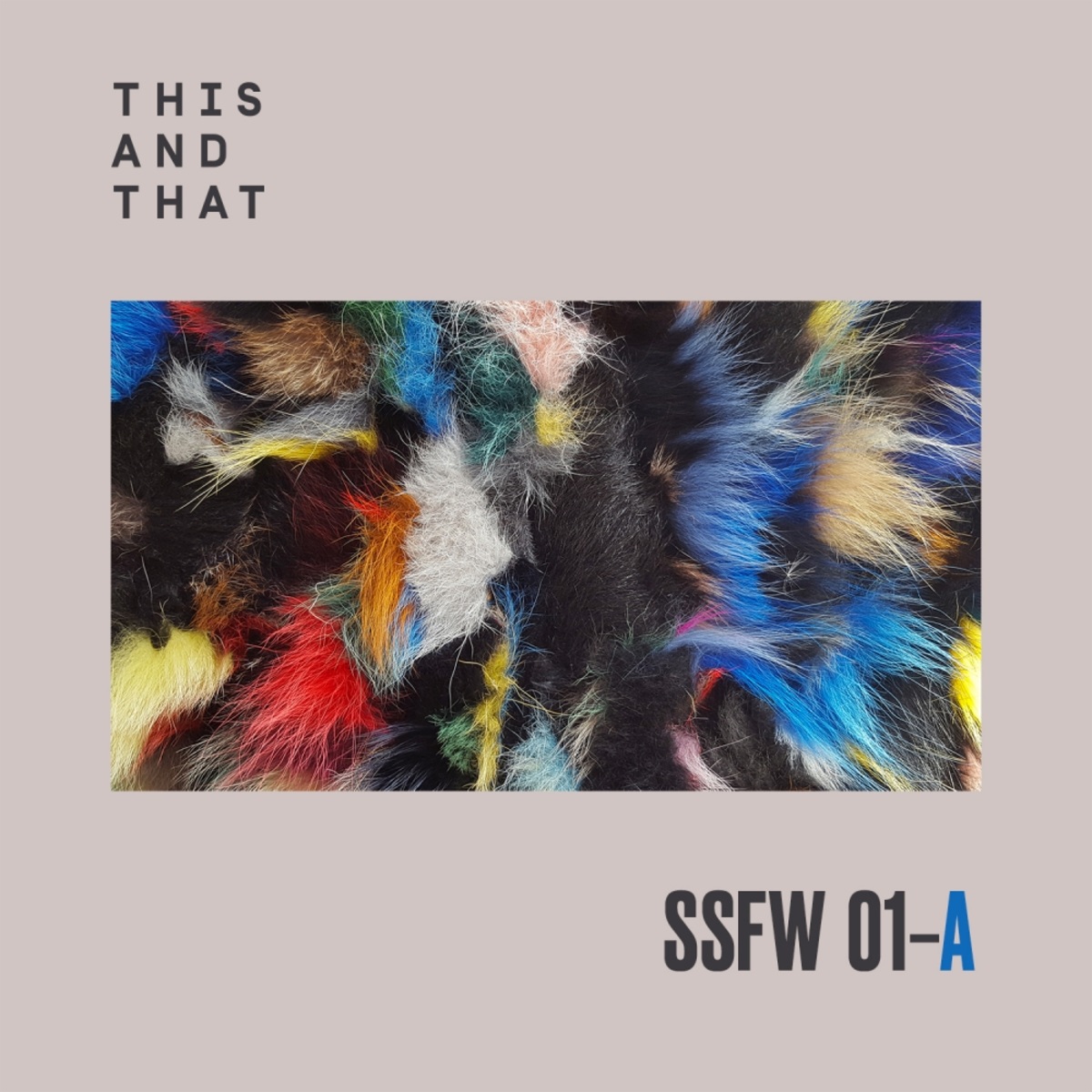 VA - SSFW #1A / This And That
