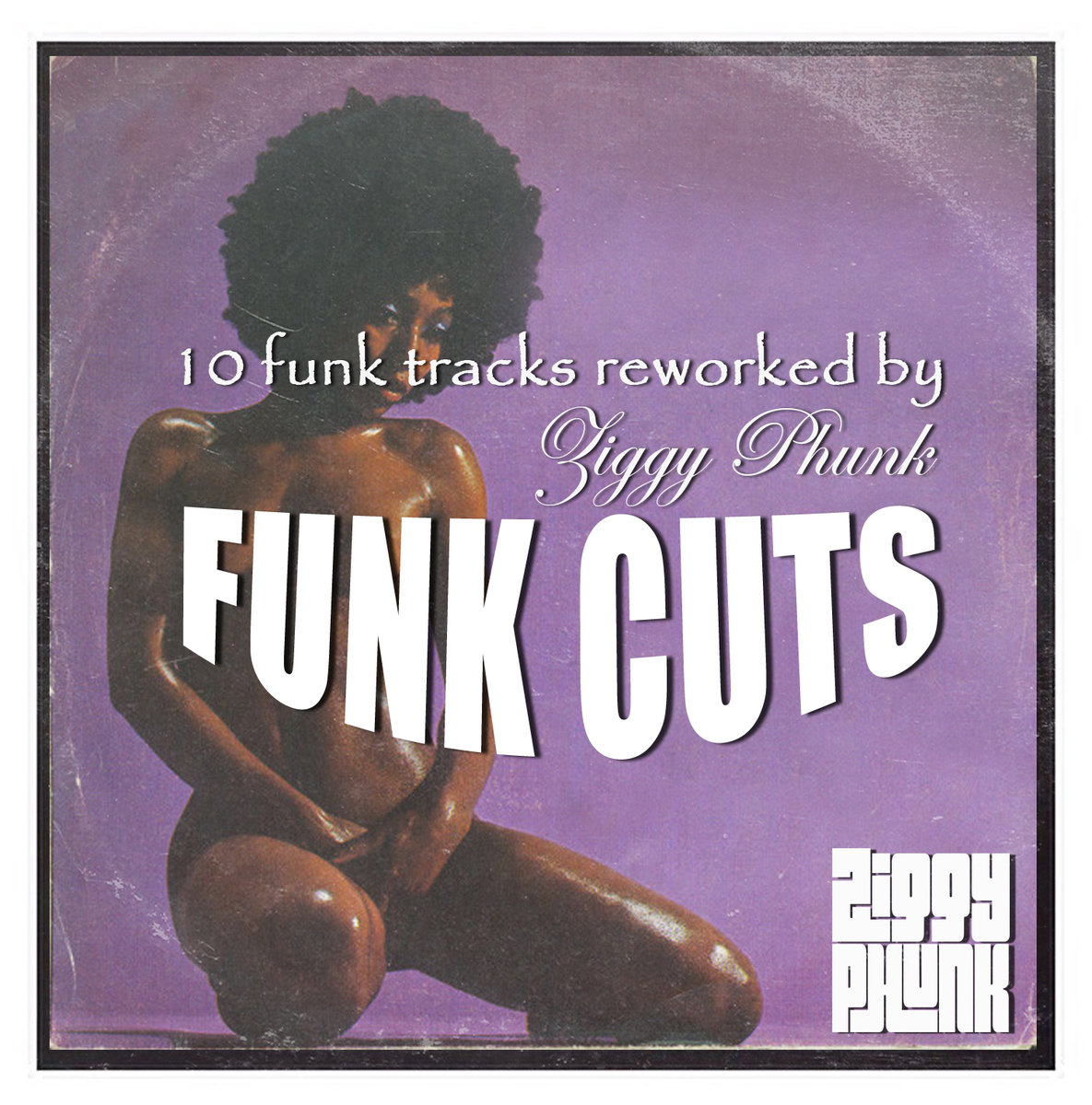 Ziggy Phunk - Funk Cuts / Bandcamp
