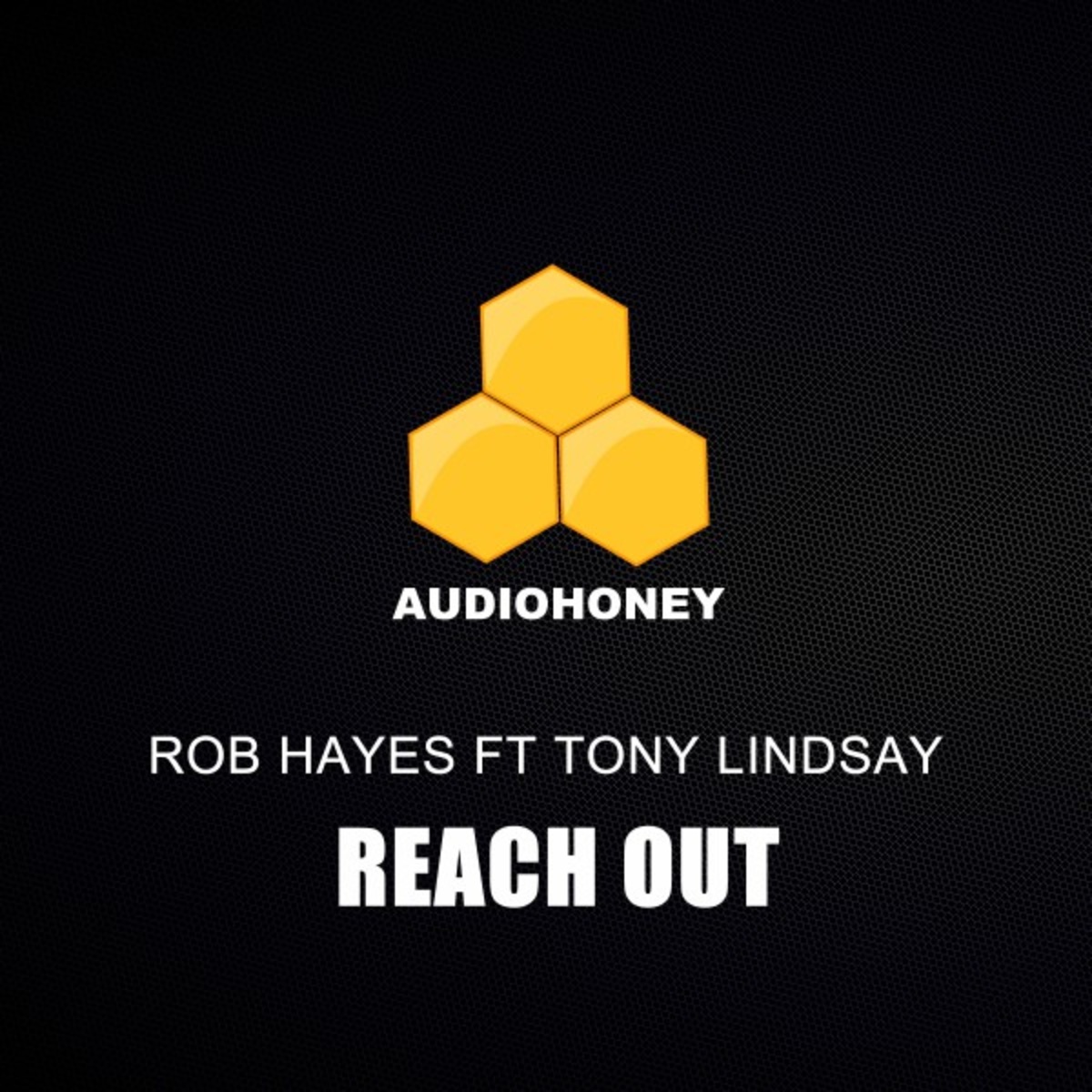 Rob Hayes - Reach Out / Audio Honey