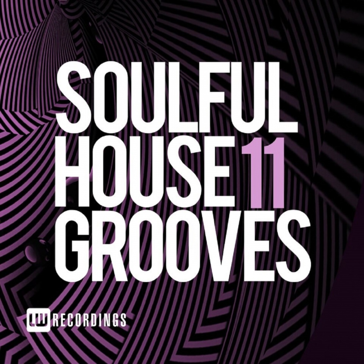 VA - Soulful House Grooves, Vol. 11 / LW Recordings