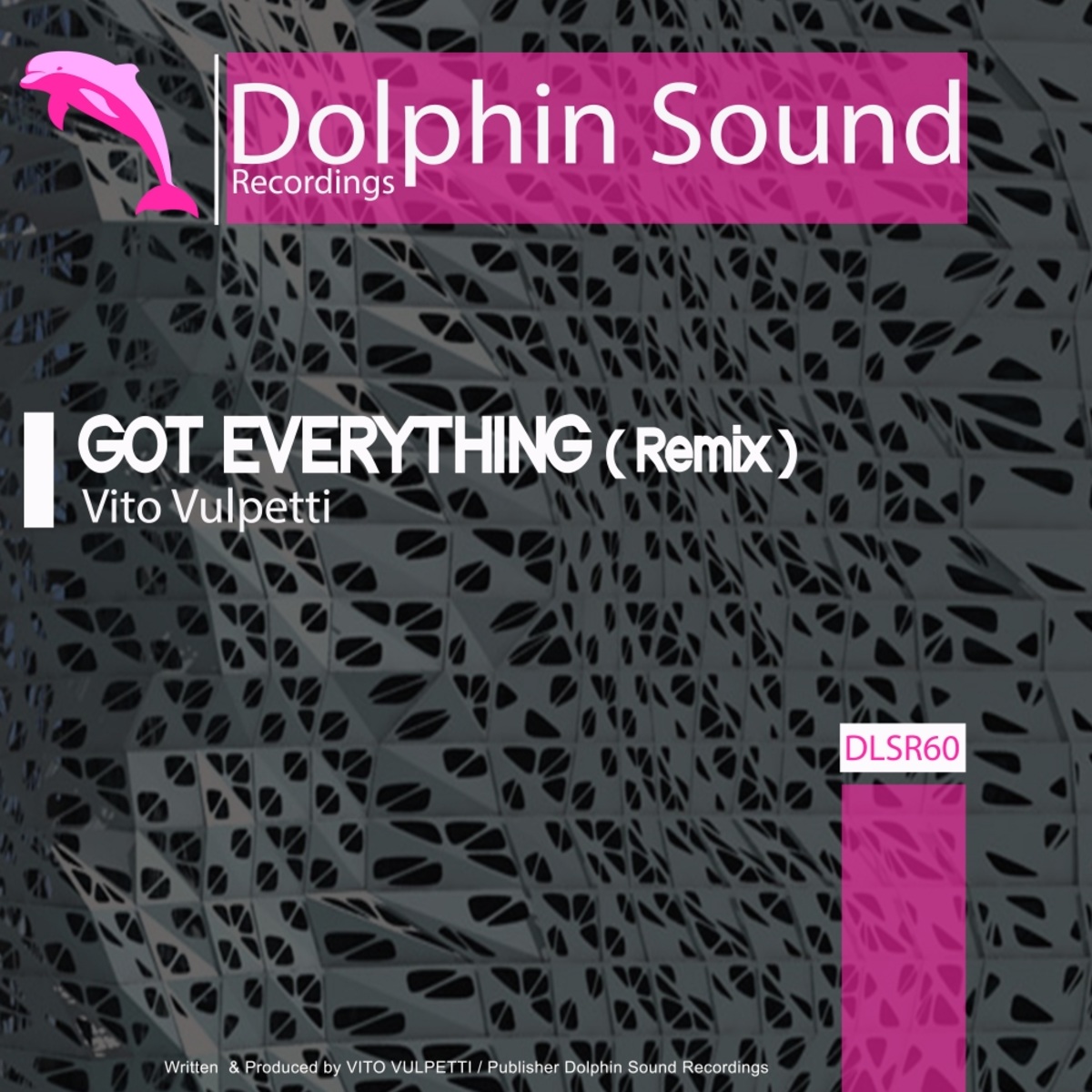 Vito Vulpetti - Got Everything (Vito Vulpetti Remix) / Dolphin Sound Recordings