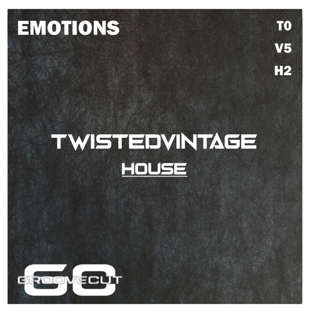 GrooveCut - Emotions EP / TwistedVintage House
