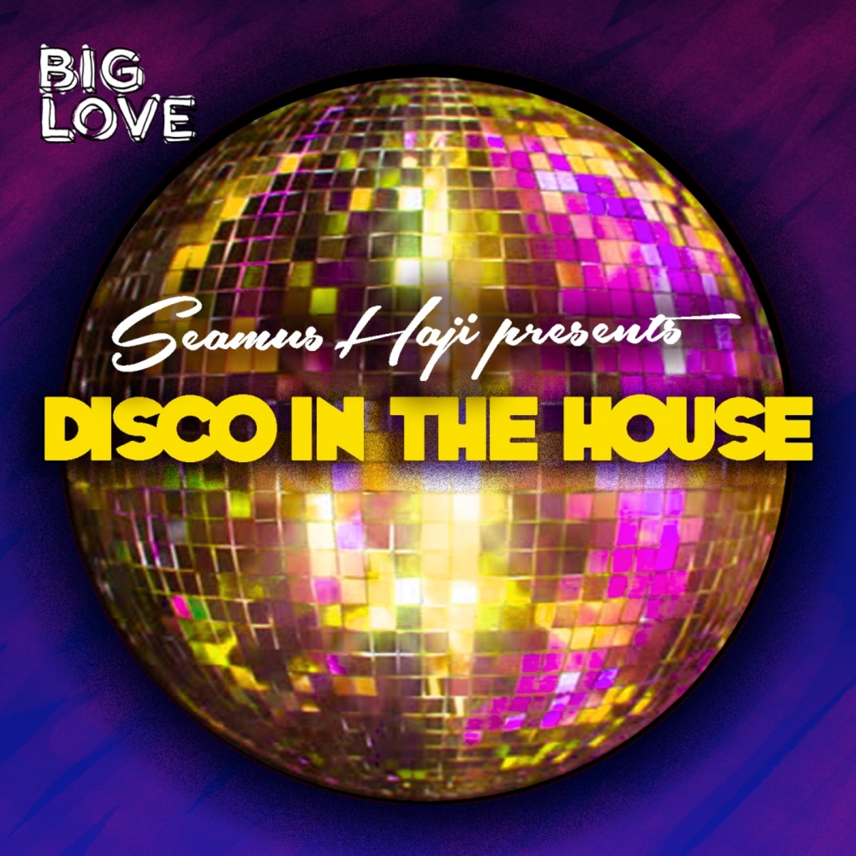 VA - Seamus Haji Presents Disco In The House / Big Love
