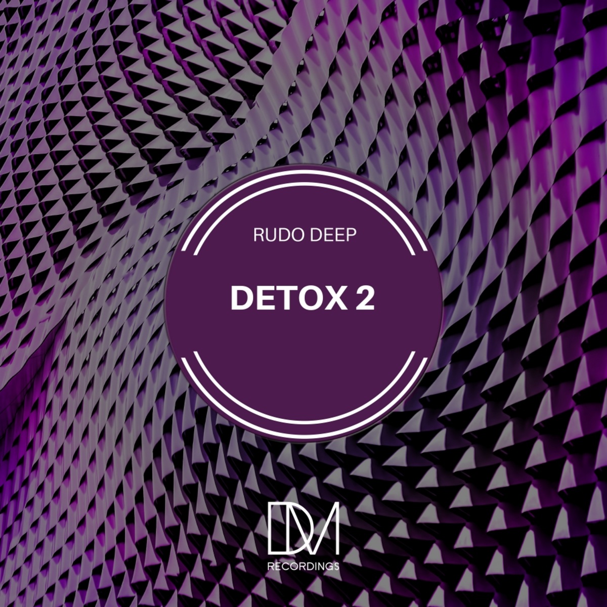 Rudo Deep - Detox 2 / DM.Recordings