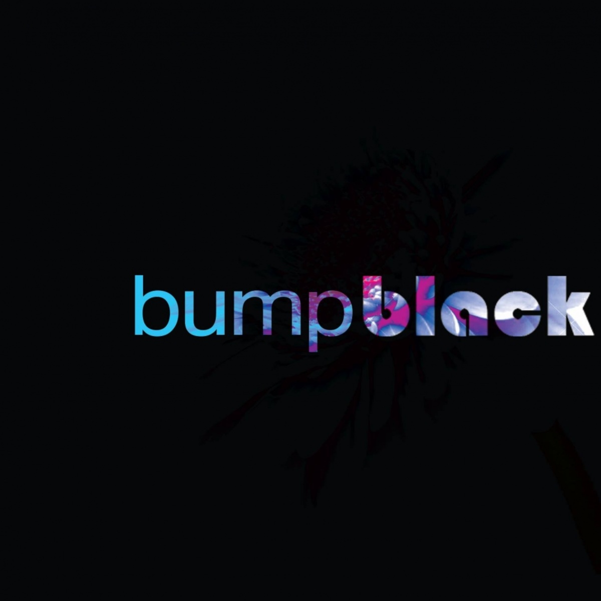 VA - Bump Black Sampler, Vol. 1 / Bump Music