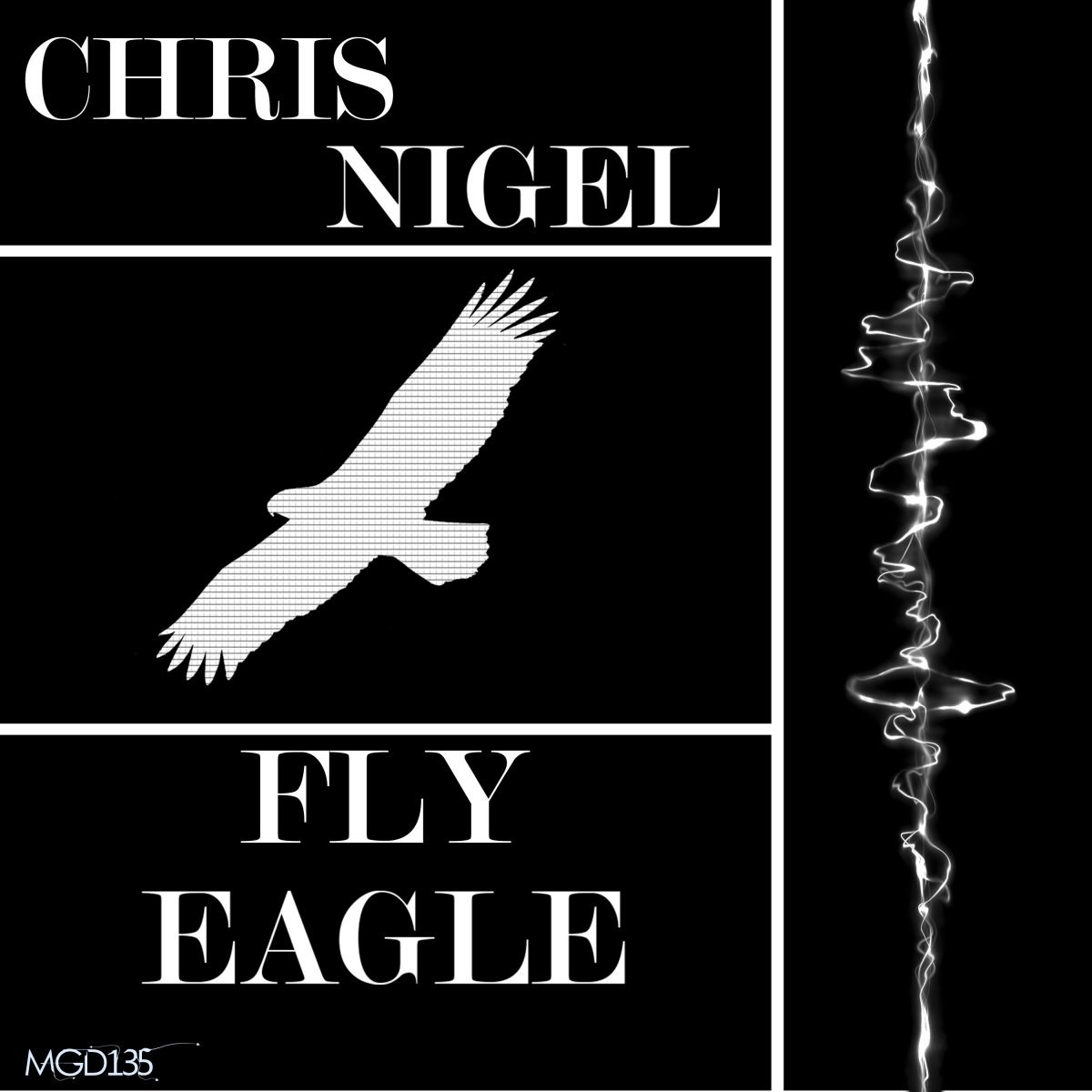 Chris Nigel - Fly Eagle / Modulate Goes Digital