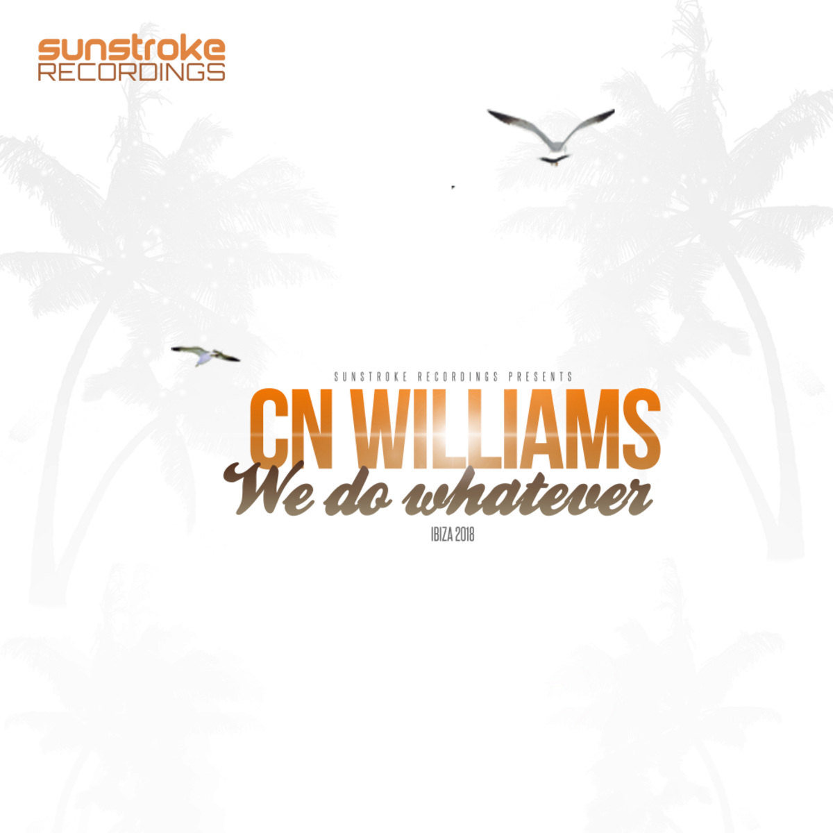 CN Williams - We Do Whatever / Sunstroke Recordings