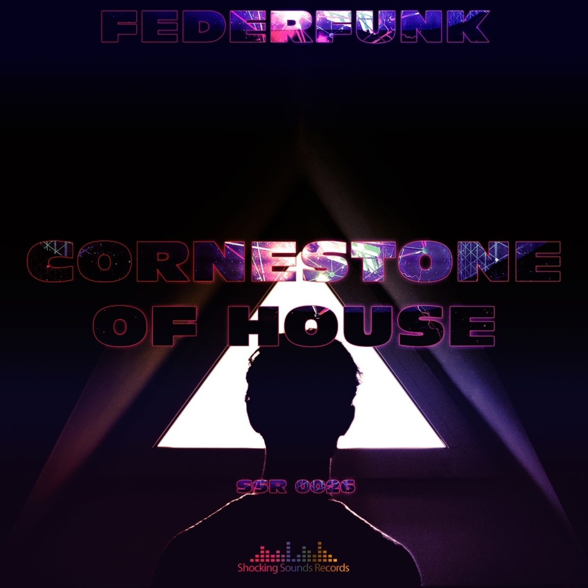 FederFunk - Cornerstone of House / Shocking Sounds Records
