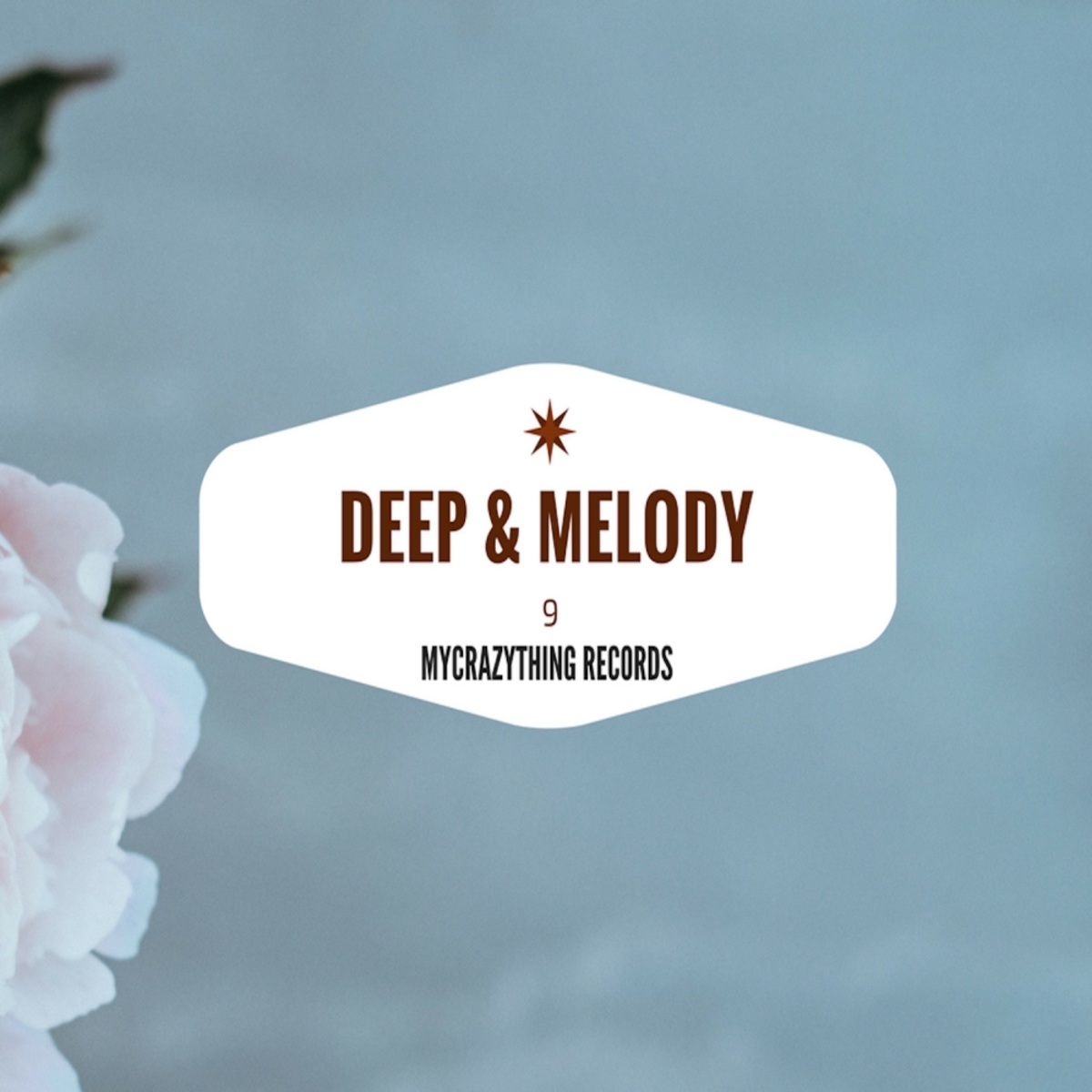 VA - Deep & Melody 9 / Mycrazything Records