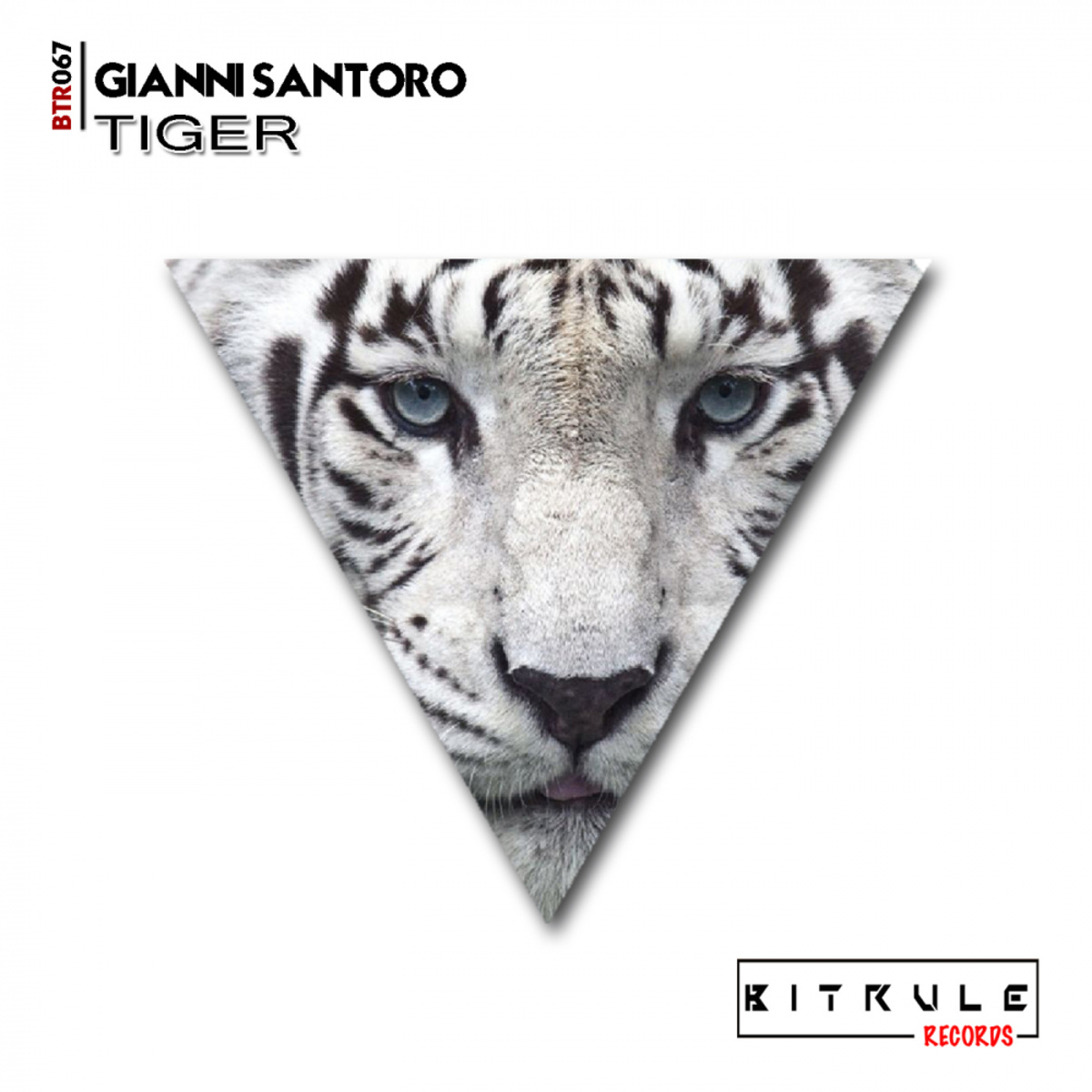 Gianni Santoro - Tiger / Bit Rule Records