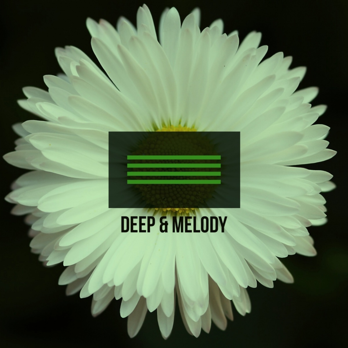 VA - Deep & Melody 7 / Mycrazything Records