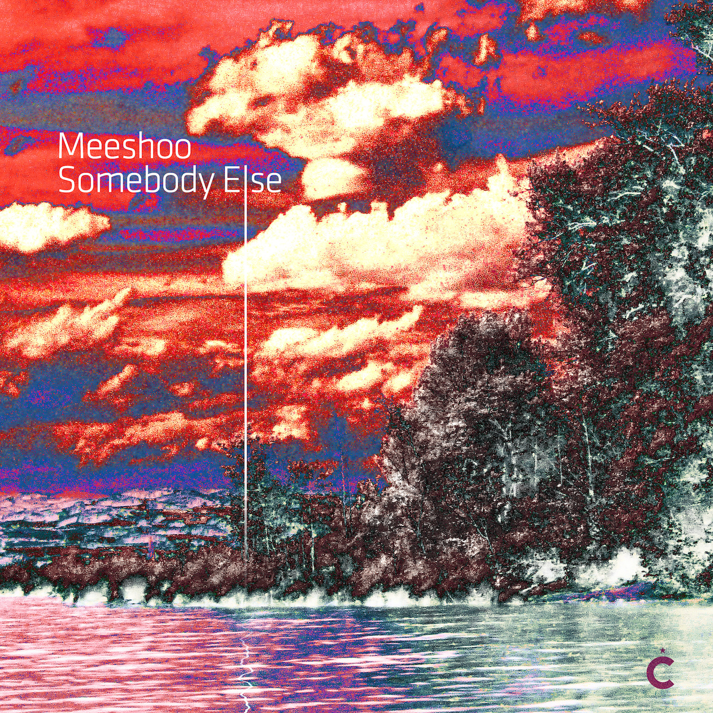 Meeshoo - Somebody Else / Culprit