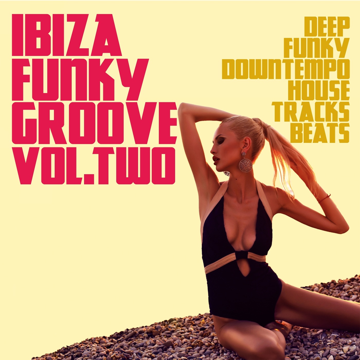 VA - Ibiza Funky Groove Volume Two (Deep Funky Downtempo House Tracks Beats) / Irma records