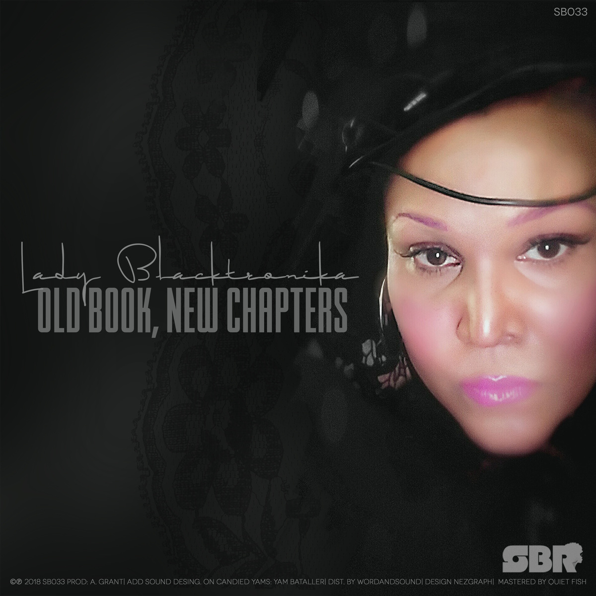 Lady Blacktronika - Old Book, New Chapters / Sound Black Recordings