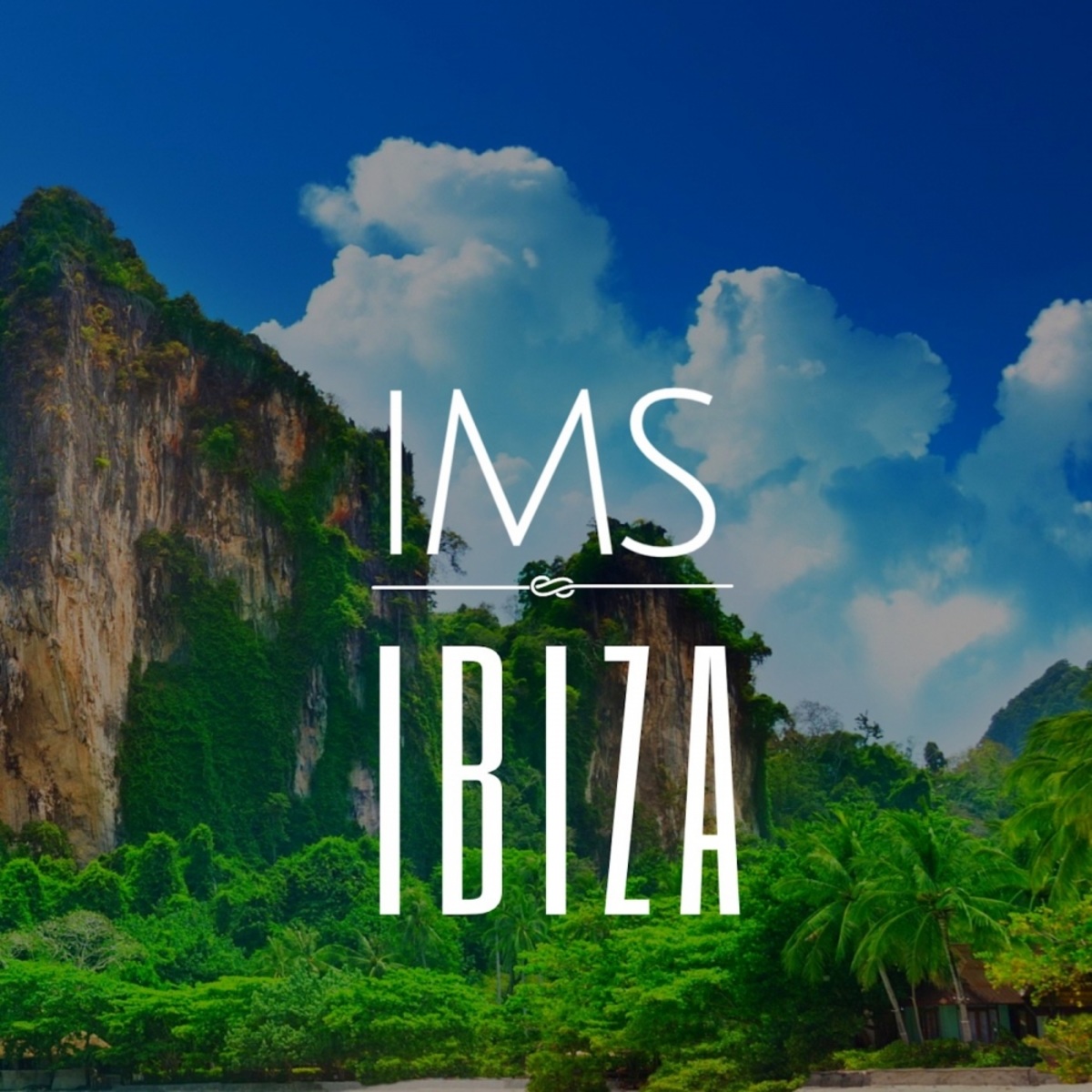 VA - IMS IBIZA / Mycrazything Records