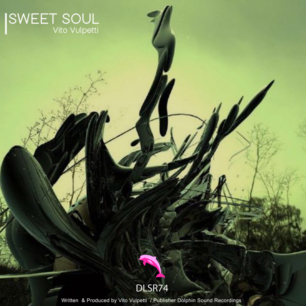 Vito Vulpetti - Sweet Soul / Dolphin Sound Recordings