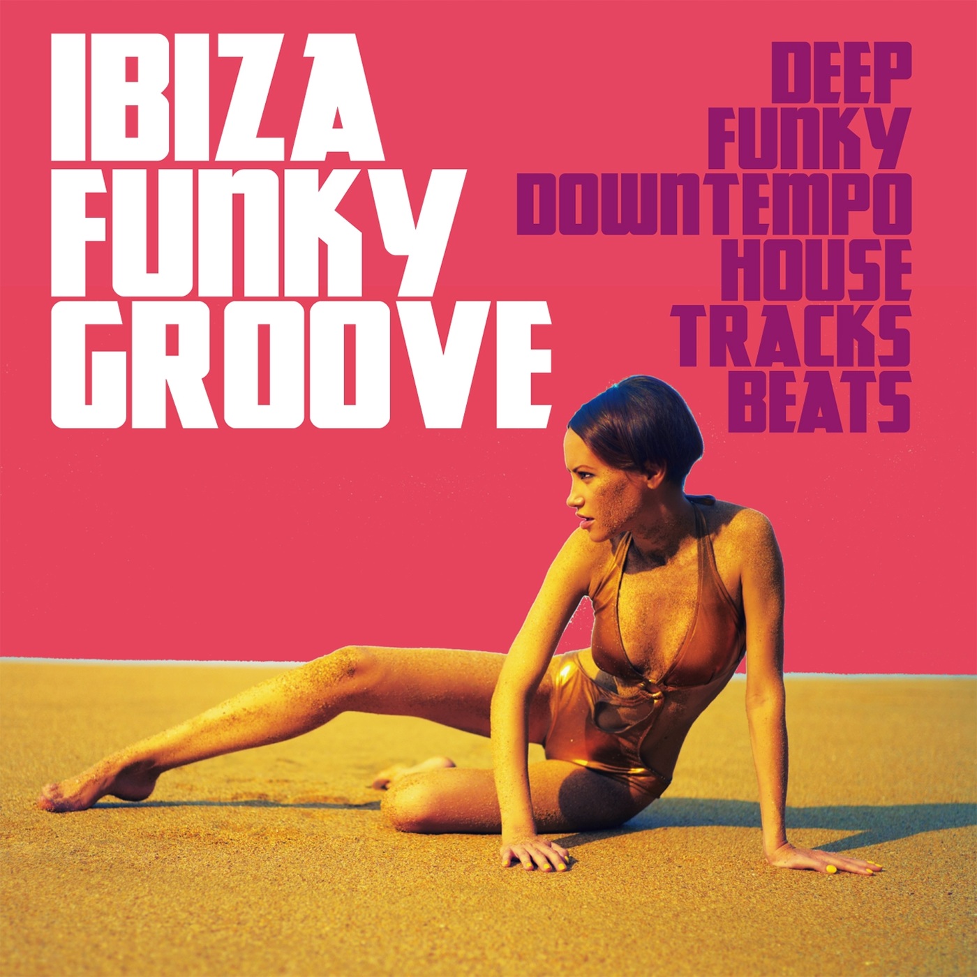 VA - Ibiza Funky Groove (Deep Funky Downtempo House Tracks Beats) / Irma Records