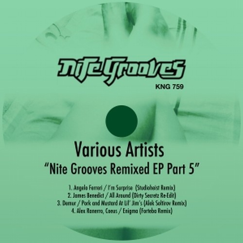 VA - Nite Grooves Remixed EP, Part 5 / Nite Grooves