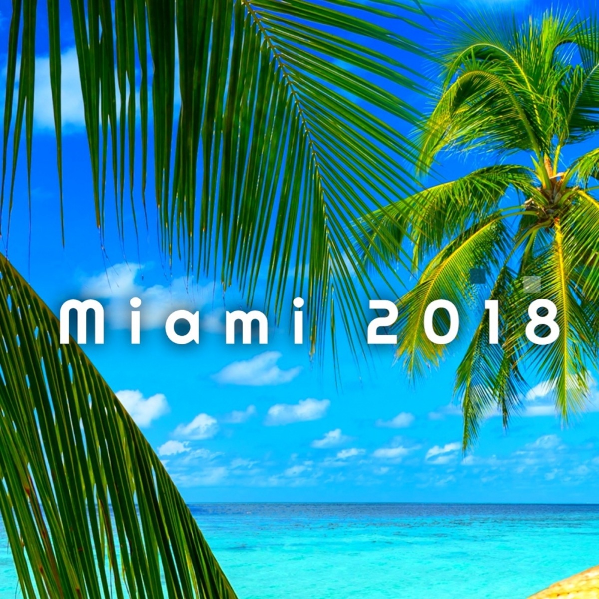 VA - Miami 2018 / MyCrazyClub